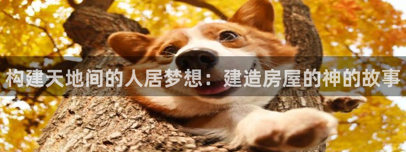 先锋娱乐大厅斗牛