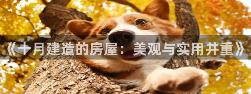 吉林先锋娱乐