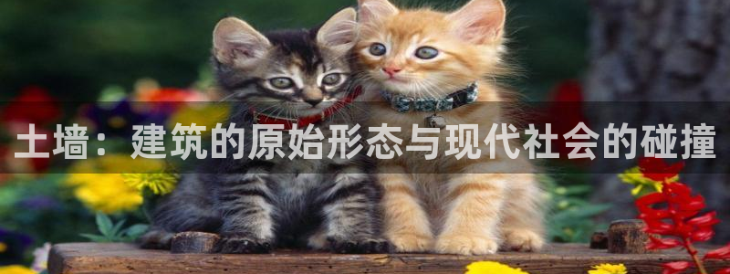 先锋电玩娱乐：土墙：建筑的原始形态与现代社会的碰撞