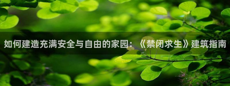 先锋娱乐系统