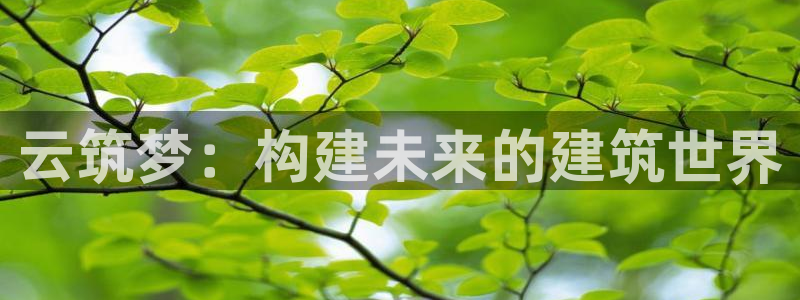 先锋娱乐集团公司