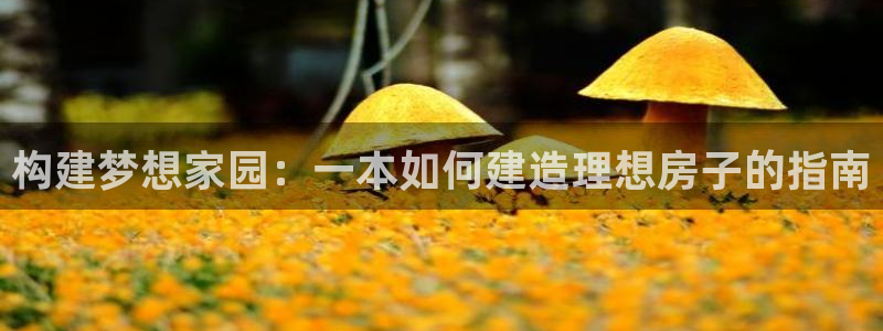 先锋娱乐剪辑：构建梦想家园：一本如何建造理想房子的指南