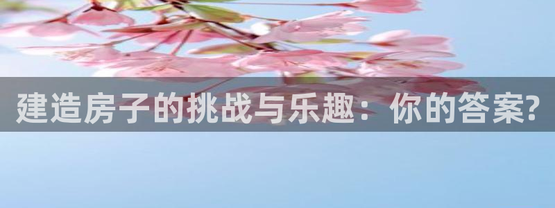 先锋方舟娱乐集团：建造房子的挑战与乐趣：你的答案?