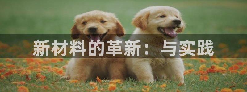 先锋娱乐场所