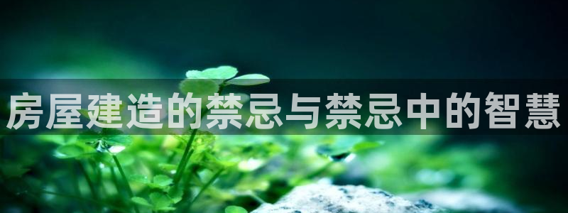 先锋娱乐网67xf
