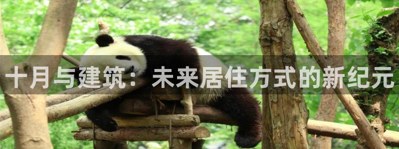 先锋娱乐软件：十月与建筑：未来居住方式的新纪元