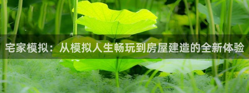 先锋娱乐汇：宅家模拟：从模拟人生畅玩到房屋建造的全新体验