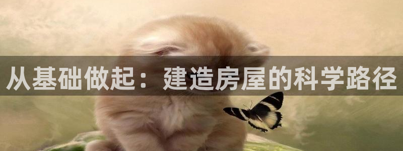 先锋娱乐中国：从基础做起：建造房屋的科学路径