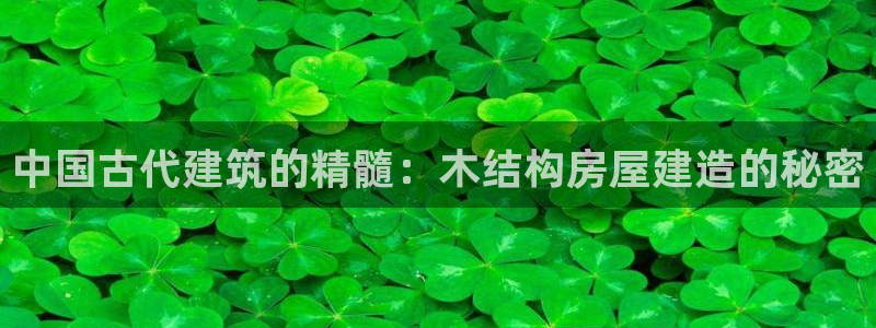 先锋娱乐在哪下载