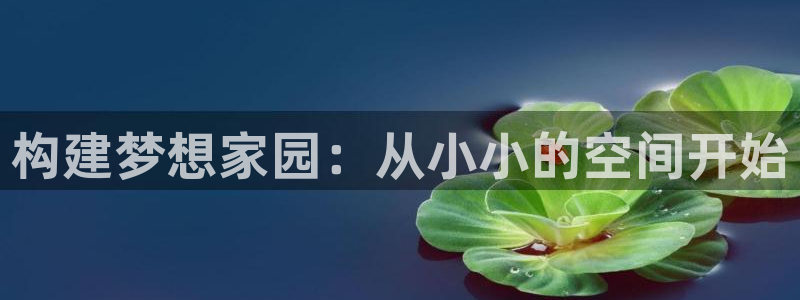 先锋娱乐系统：构建梦想家园：从小小的空间开始