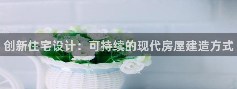 先锋互动娱乐