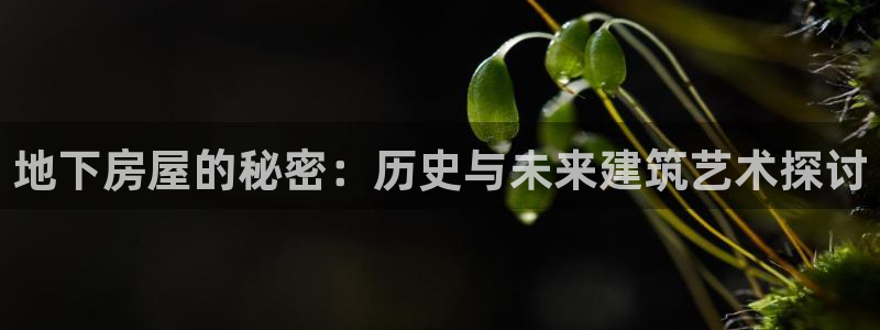 先锋娱乐：地下房屋的秘密：历史与未来建筑艺术探讨