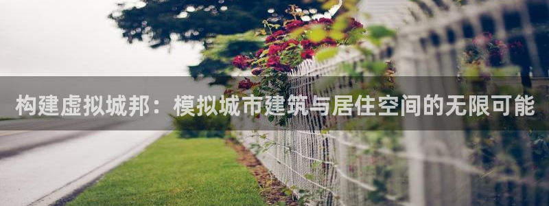 先锋支付娱乐城：构建虚拟城邦：模拟城市建筑与居住空间的无限可能