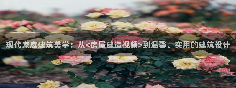 先锋娱乐账号：现代家庭建筑美学：从<房屋建造视频>到温馨、实用的建筑设计