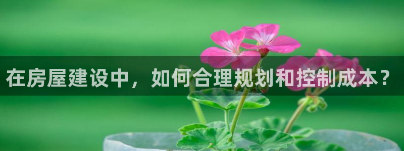 先锋娱乐团：在房屋建设中，如何合理规划和控制成本？