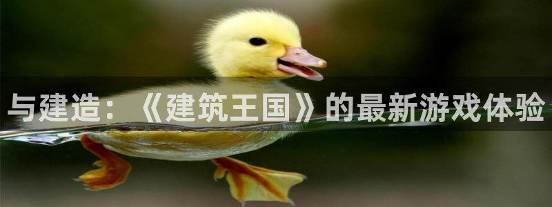 先锋娱乐快讯：与建造：《建筑王国》的最新游戏体验