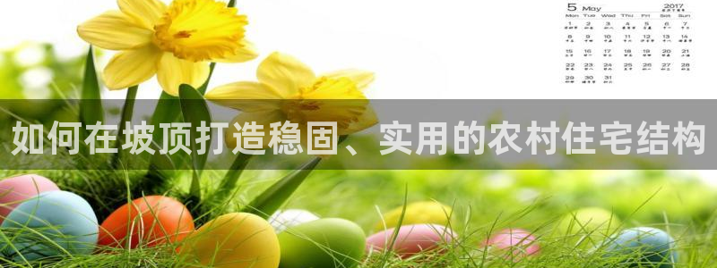 先锋娱乐赛