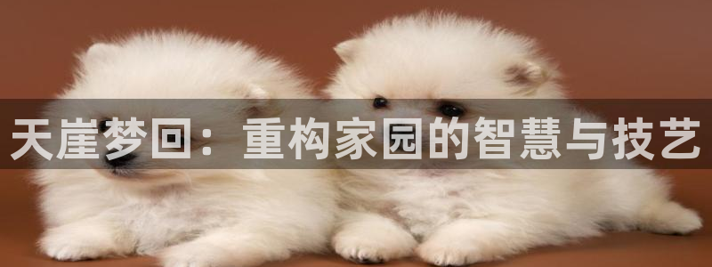 先锋娱乐管理集团怎么样：天崖梦回：重构家园的智慧与技艺