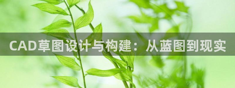 先锋娱乐电子游戏：CAD草图设计与构建：从蓝图到现实