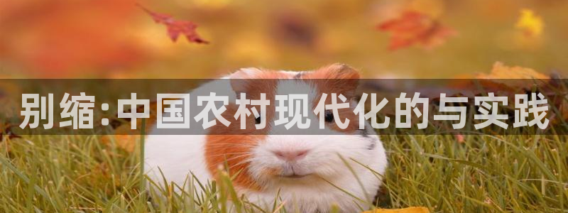 先锋娱乐链接：别缩:中国农村现代化的与实践