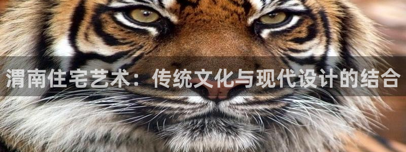 先锋娱乐登录：渭南住宅艺术：传统文化与现代设计的结合