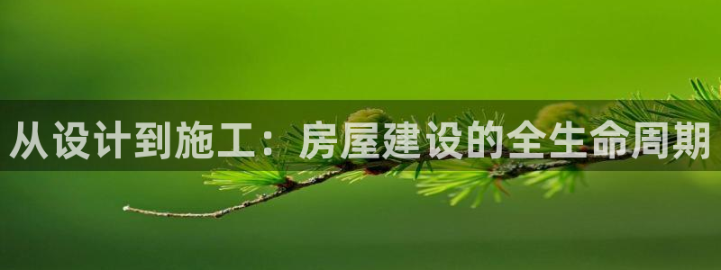 先锋娱乐俱乐部：从设计到施工：房屋建设的全生命周期
