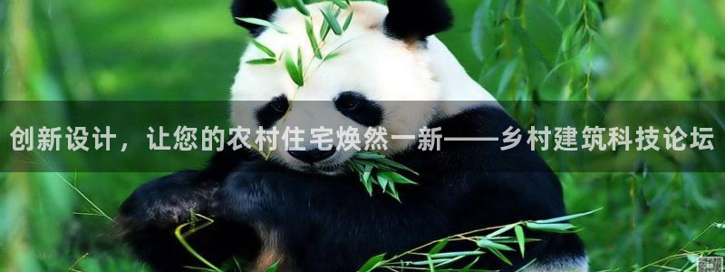 先锋娱乐剪辑：创新设计，让您的农村住宅焕然一新——乡村建筑科技论坛