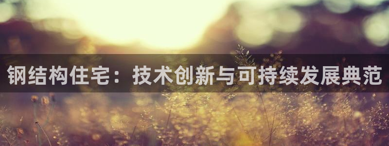 先锋电玩娱乐：钢结构住宅：技术创新与可持续发展典范