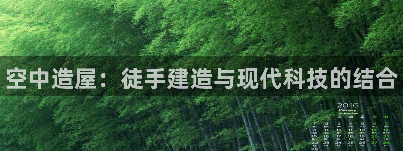 先锋娱乐软件：空中造屋：徒手建造与现代科技的结合