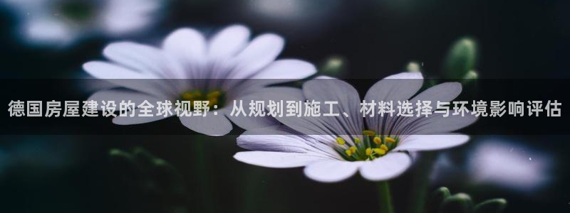 先锋娱乐集团公司