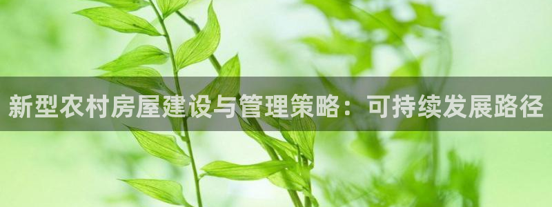 先锋娱乐社：新型农村房屋建设与管理策略：可持续发展路径