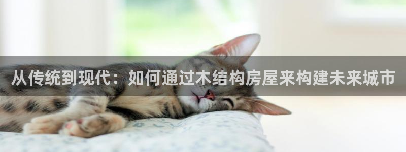娱乐急先锋全集下载：从传统到现代：如何通过木结构房屋来构建未来城市