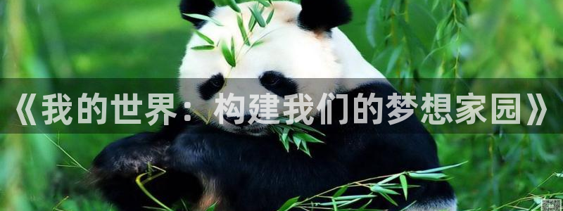 先锋娱乐币：《我的世界：构建我们的梦想家园》