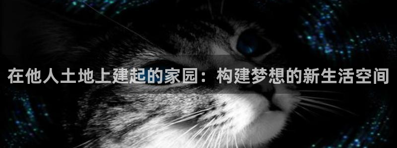 先锋娱乐场所：在他人土地上建起的家园：构建梦想的新生活空间