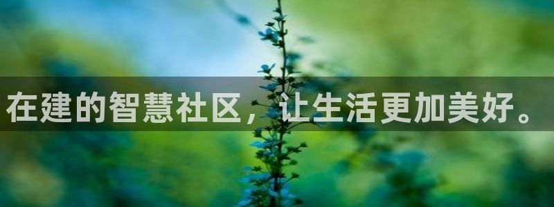 先锋岛娱乐：在建的智慧社区，让生活更加美好。