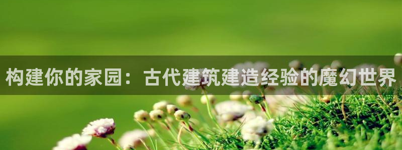 先锋支付娱乐城：构建你的家园：古代建筑建造经验的魔幻世界