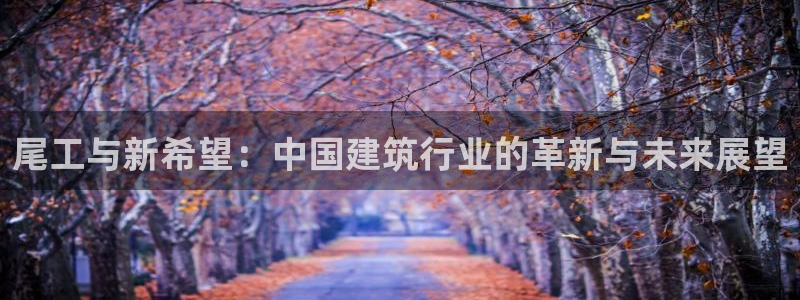 亚洲先锋娱乐行情：尾工与新希望：中国建筑行业的革新与未来展望