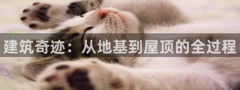 先锋娱乐注册：建筑奇迹：从地基到屋顶的全过程