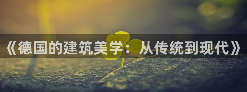 先锋支付娱乐城：《德国的建筑美学：从传统到现代》