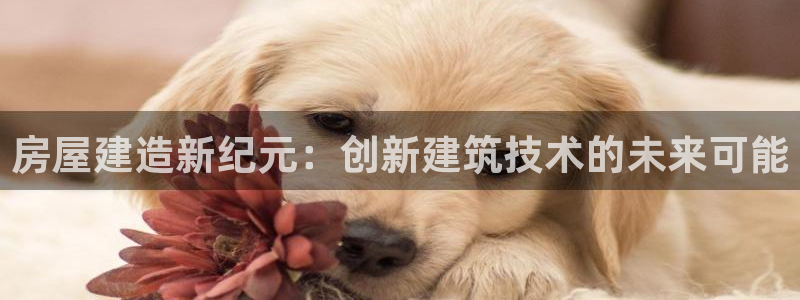 先锋电子旗下先锋娱乐：房屋建造新纪元：创新建筑技术的未来可能