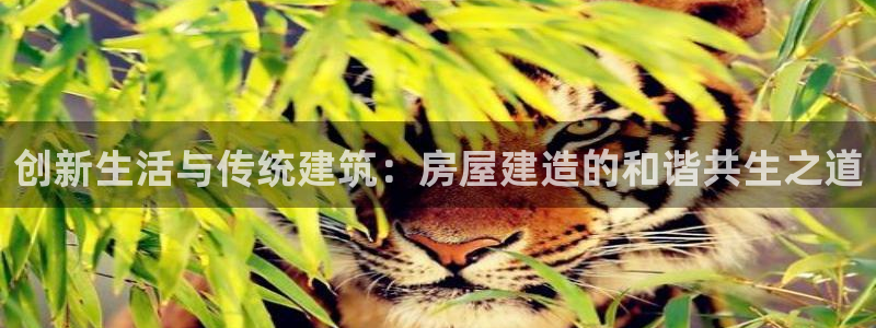 先锋娱乐属于违法吗：创新生活与传统建筑：房屋建造的和谐共生之道