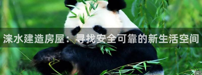先锋娱乐游戏大厅下载