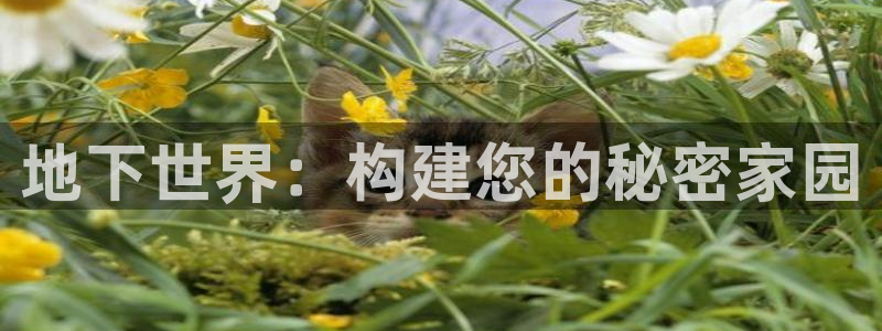 先锋娱乐公司正规吗吗：地下世界：构建您的秘密家园