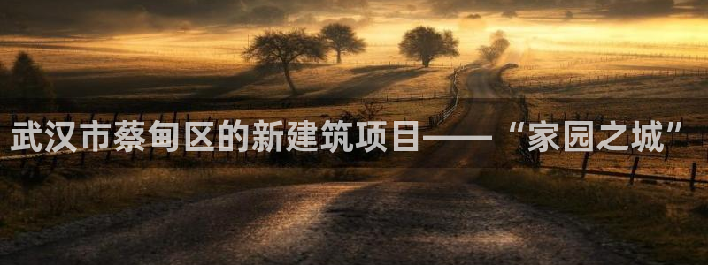 先锋游戏娱乐：武汉市蔡甸区的新建筑项目——“家园之城”