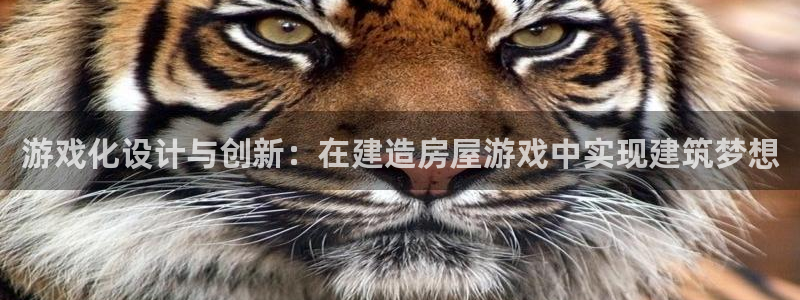 先锋电子旗下先锋娱乐：游戏化设计与创新：在建造房屋游戏中实现建筑梦想