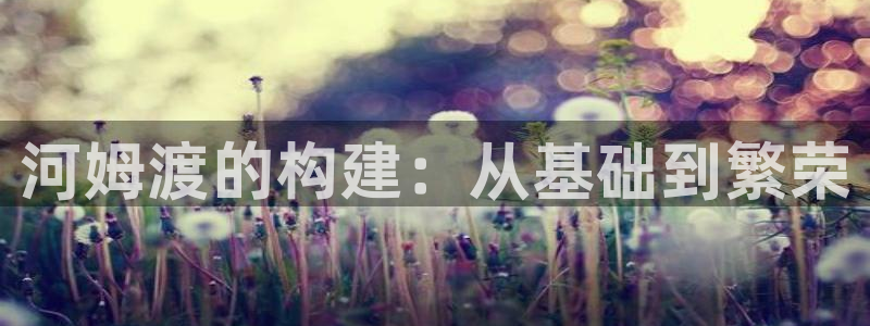 先锋娱乐大厅斗牛：河姆渡的构建：从基础到繁荣