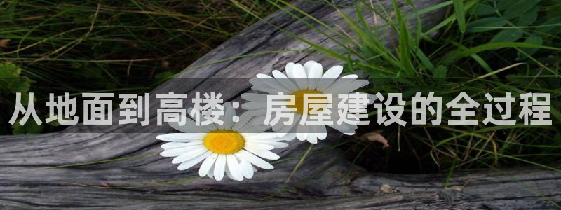 先锋娱乐：从地面到高楼：房屋建设的全过程