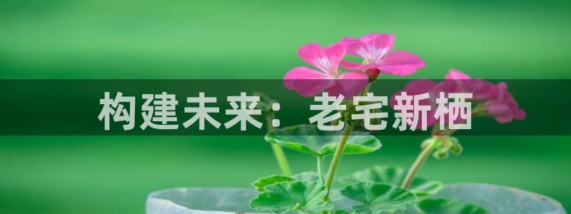 先锋娱乐手机：构建未来：老宅新栖