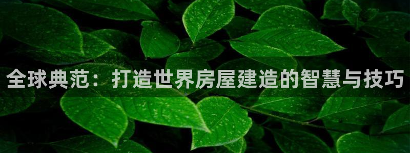 吉林先锋娱乐：全球典范：打造世界房屋建造的智慧与技巧