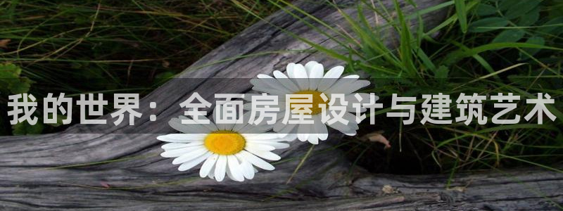 先锋澳门新娱乐：我的世界：全面房屋设计与建筑艺术